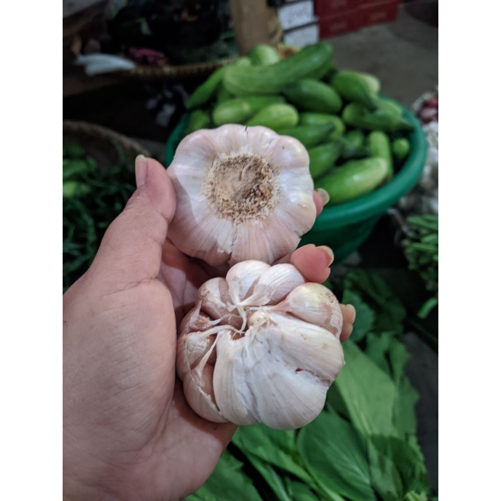 

bawang putih 100 gram