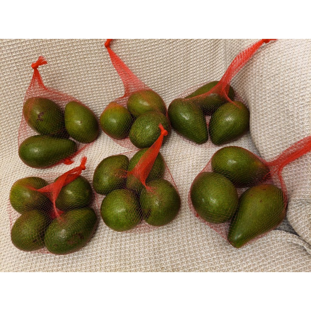 

alpukat mentega ukuran sedang kiloan kualitas terbaik