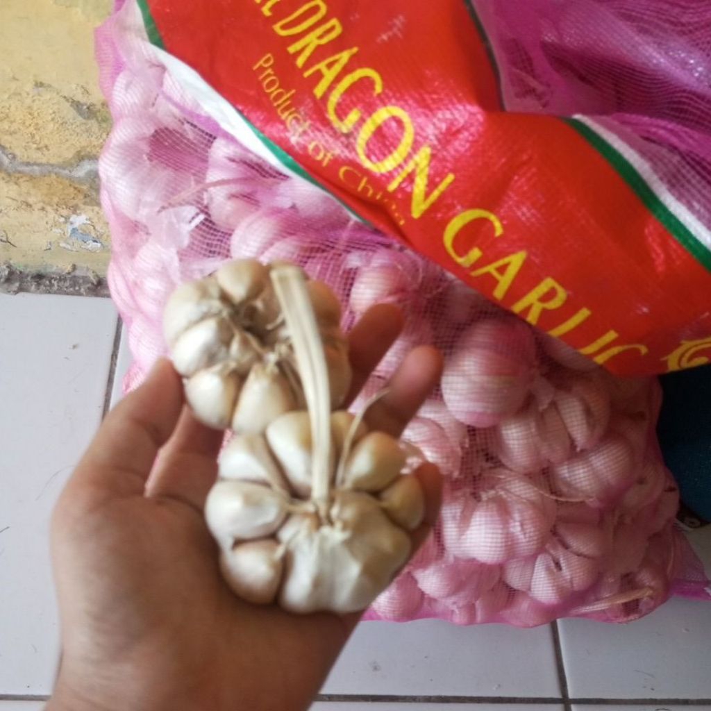 

bawang putih 1kg
