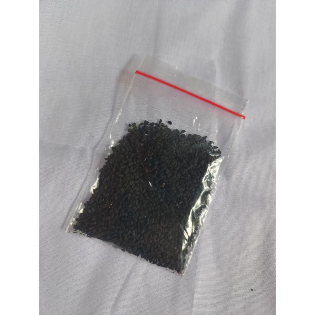 

Jintan Hitam atau Jenten Hitam atau Habatussauda