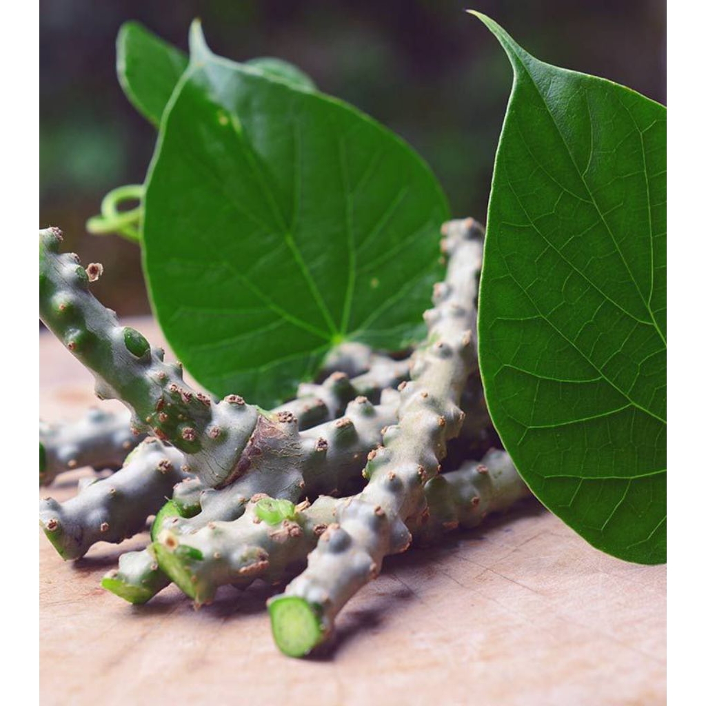 

BIBIT BROTOWALI PATRAWALI SAPIH ASI