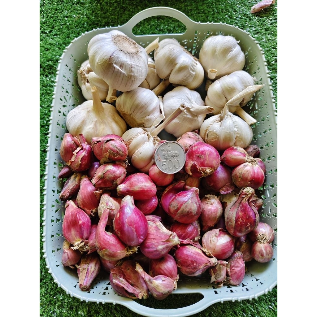 

Bawang Merah, Bawang Putih 1 kg campur