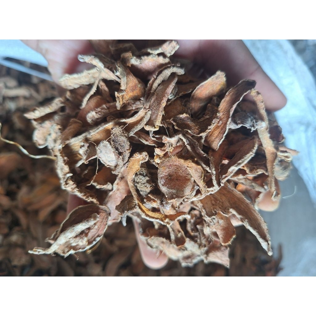 

Kunyit kering / kunir kering