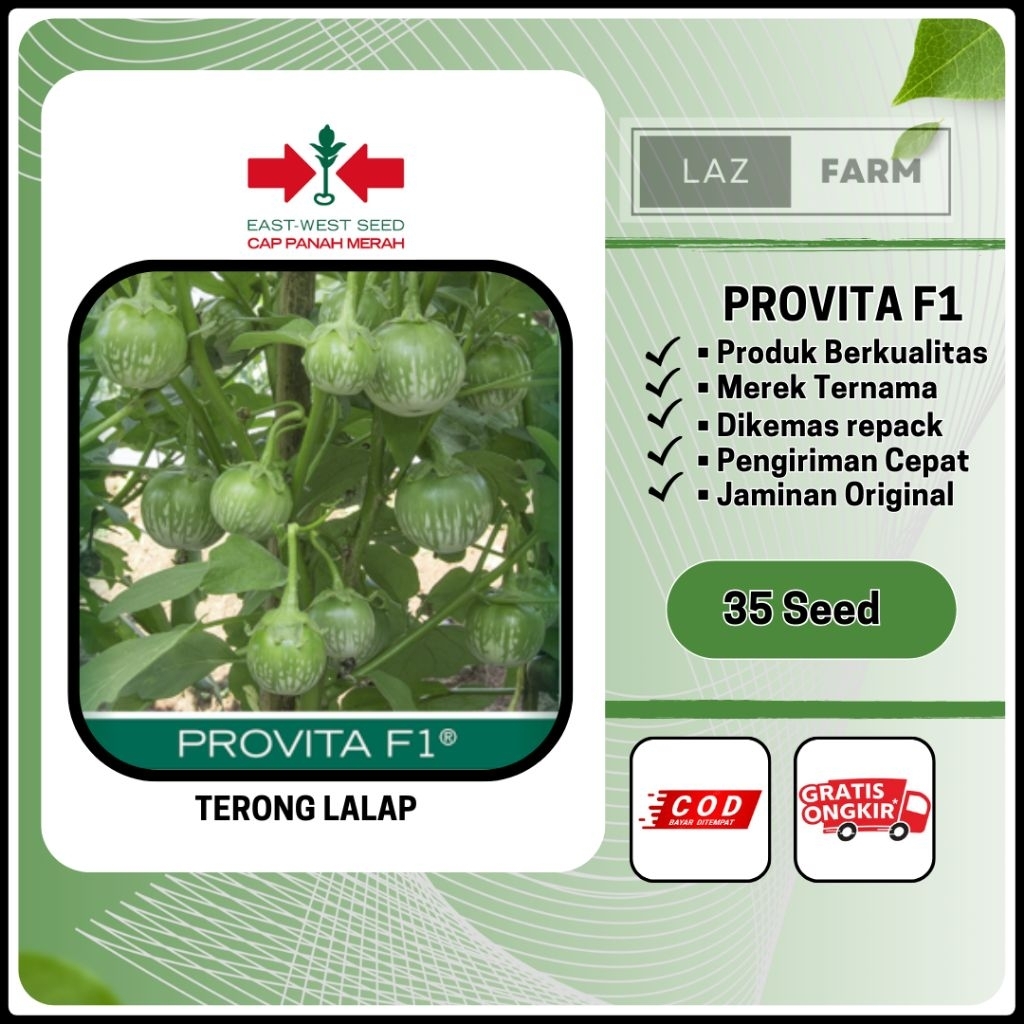 BENIH TERONG LALAP HIJAU PROVITA F1 35 BUTIR REPACK CAP PANAH MERAH