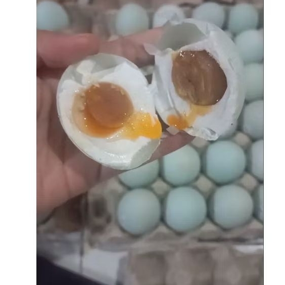 

TELUR ASIN MASIR MATANG PERBUTIR