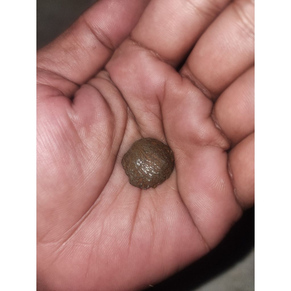 peninggalan mbah barang kuno pmpakwsi unik langka antik