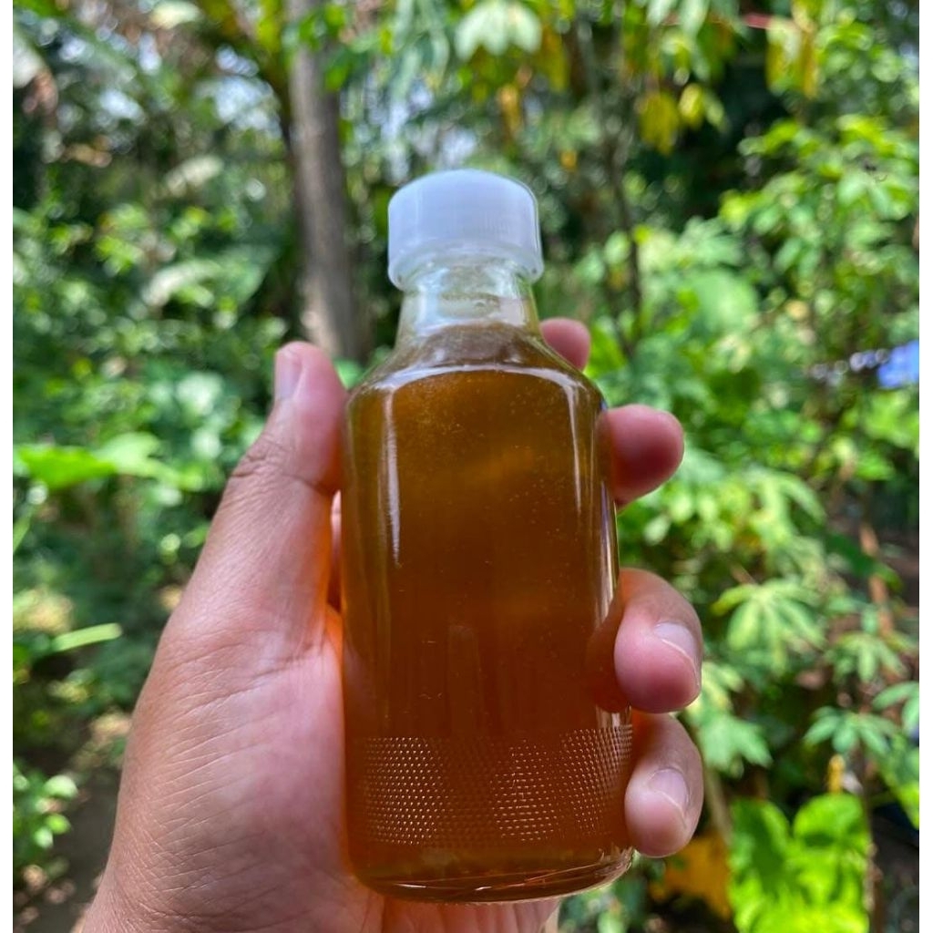 

madu klanceng 100% original/kemasan botol