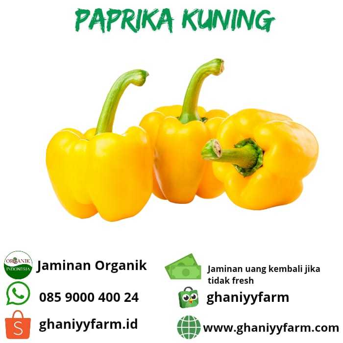 

Sayur Organik Paprika Kuning Organik 200Gram