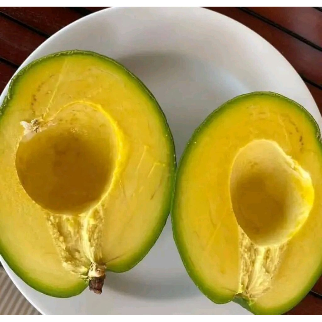 

Alpukat mentega besar jumbo 1kg isi 3 dan 4