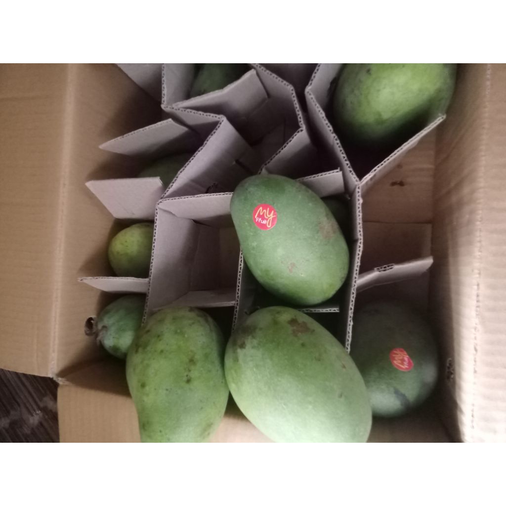 

BUAH MANGGA HARUM MANIS GADUNG 1kg