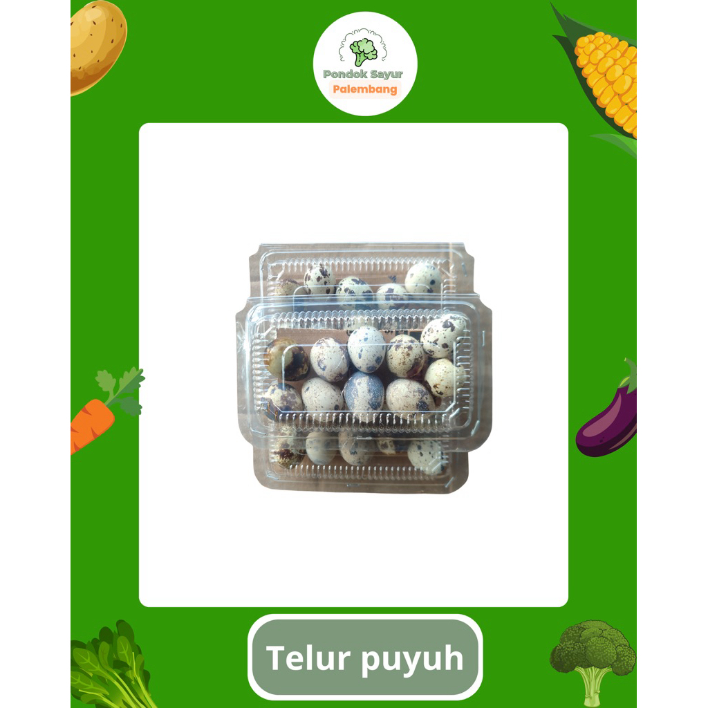 

PALEMBANG • telur puyuh teluh puyuh fresh Palembang telur