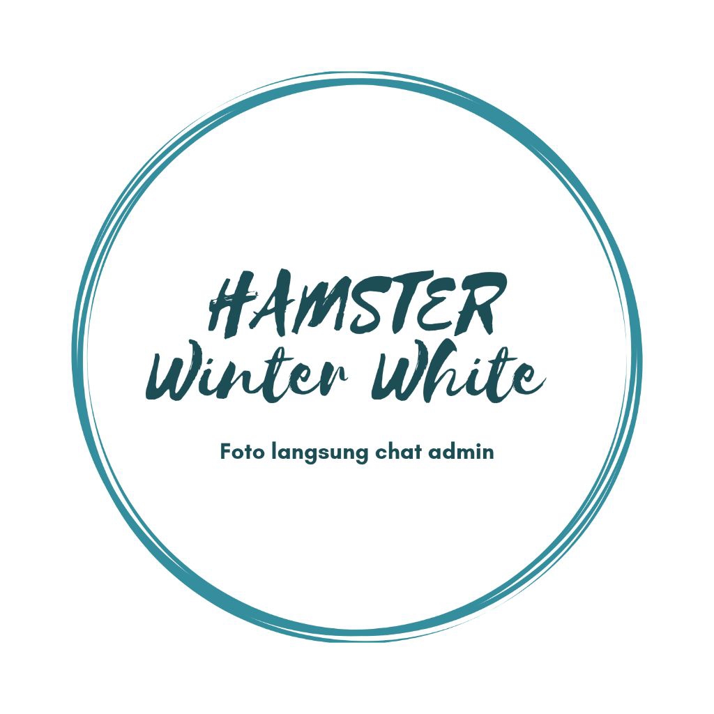 mainan hamster winter white siap kawin