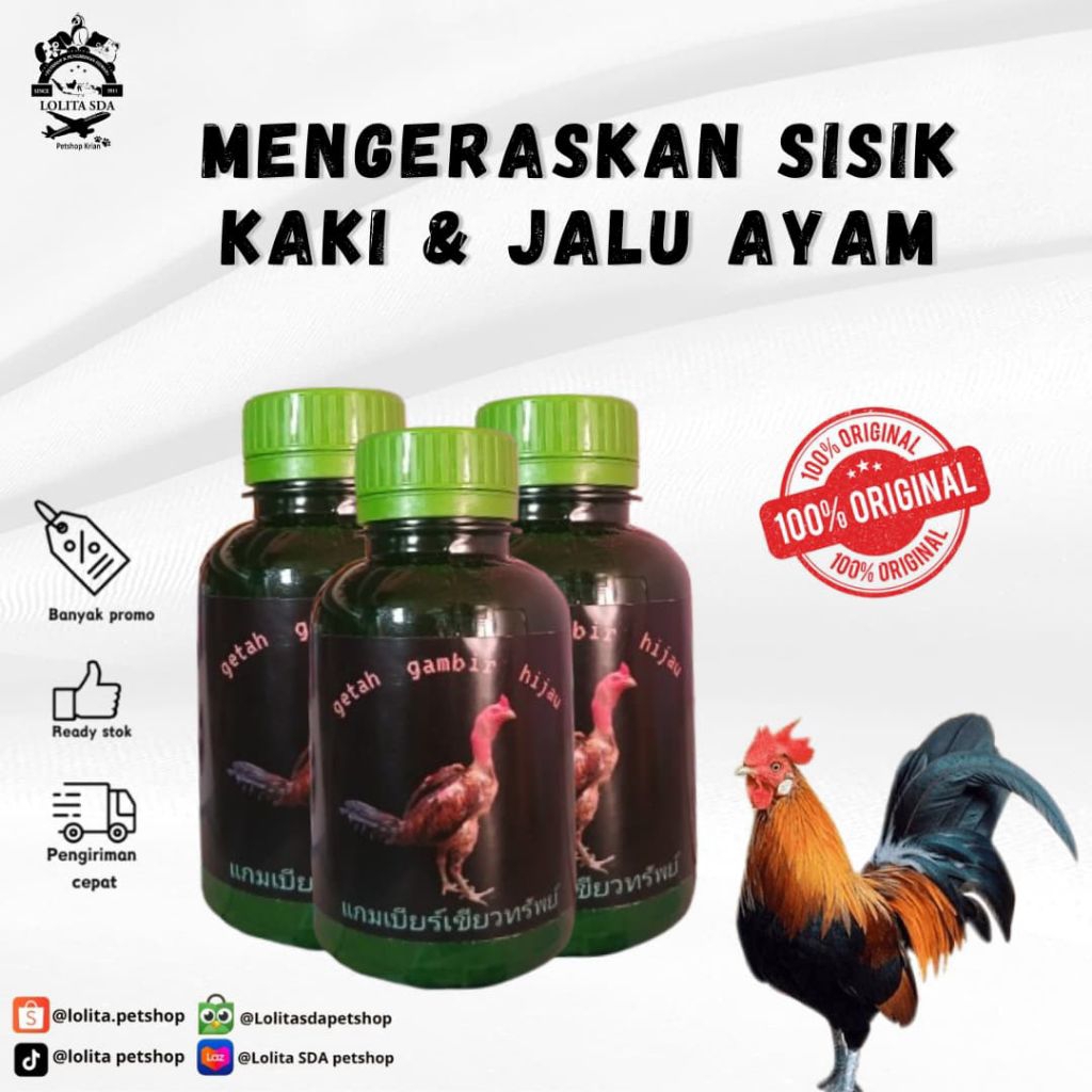 Getah Gambir Hijau Untuk Kaki Ayam