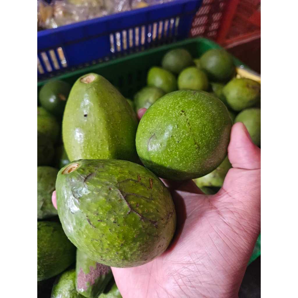 

Alpukat SUPER Lokal Mentega Segar 1kg ( 1000 gr )