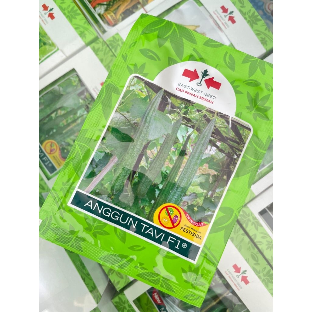 Benih Oyong ANGGUN F1 75 butir/Gambas/oyong