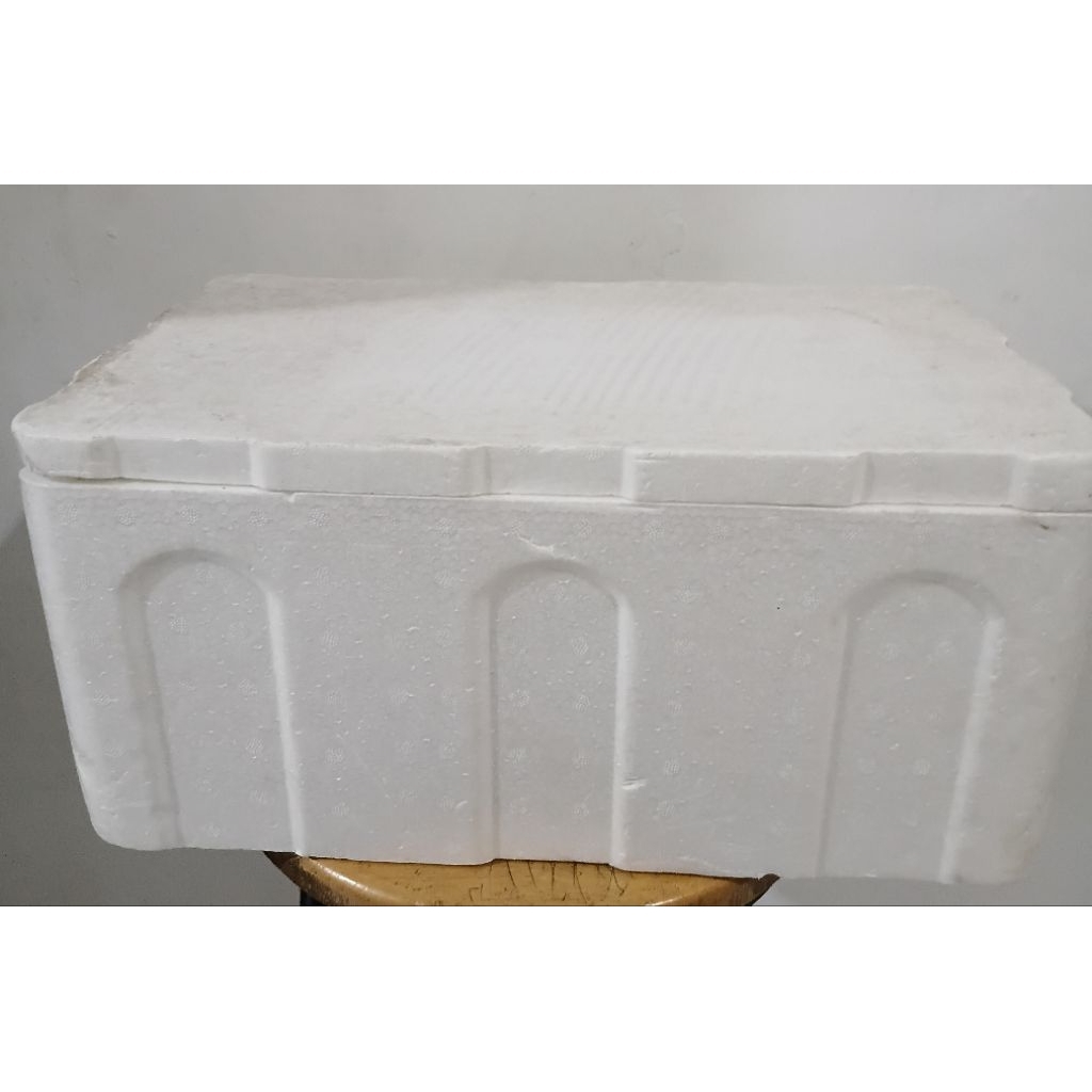 Box Stereoform untuk Frozen food ukuran 40cm