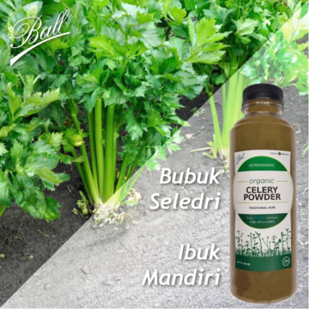 

Seledri Bubuk Tradisional