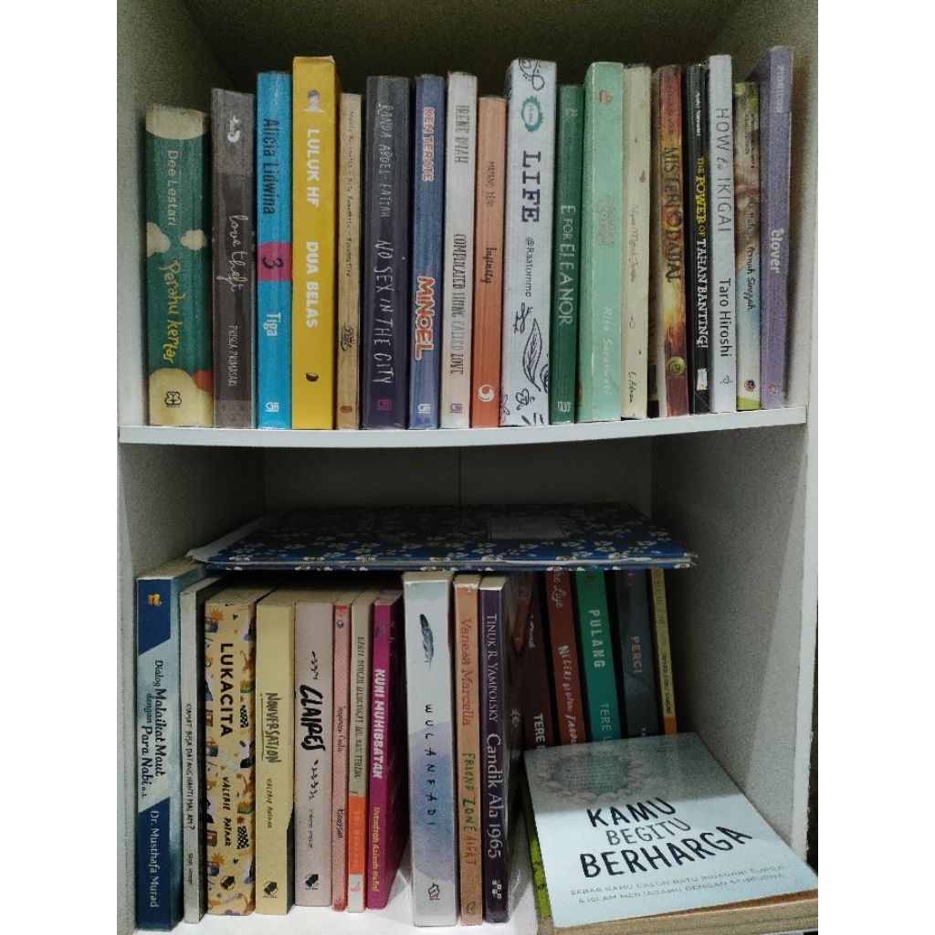 NOVEL PRELOVED MURAH SECOND SEKALI BACA ROMANCE ENTROK FUNICULI FUNICULA GADIS KRETEK