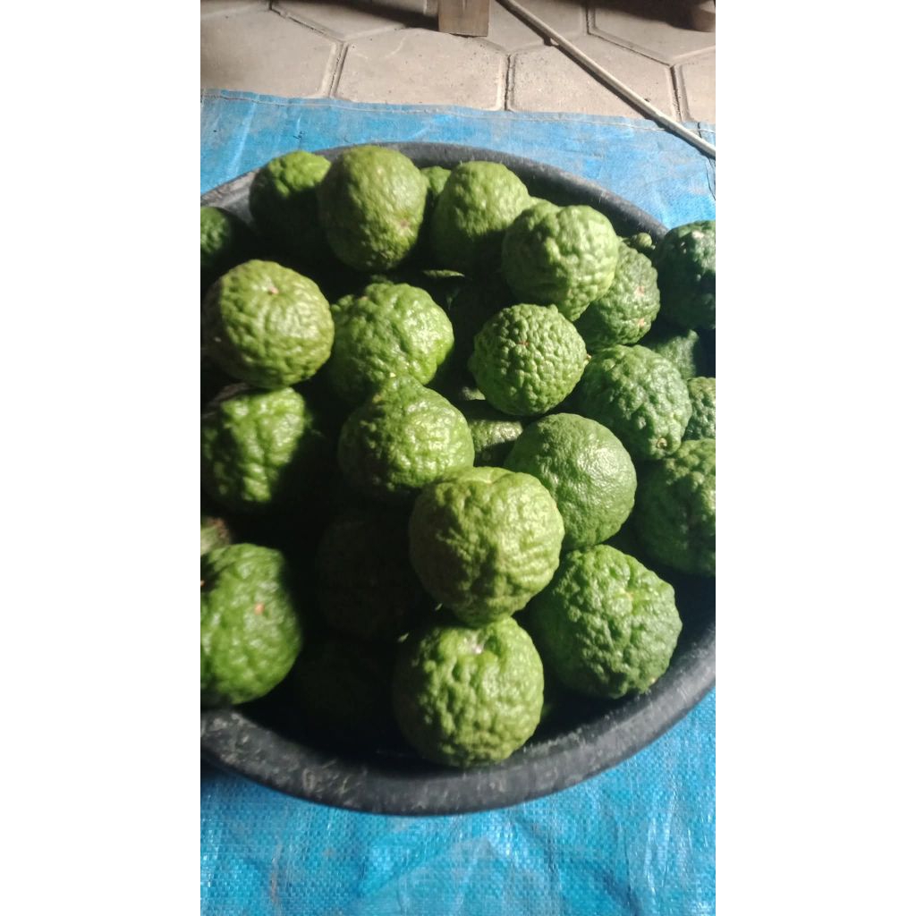 

JERUK PURUT FRESS 200g