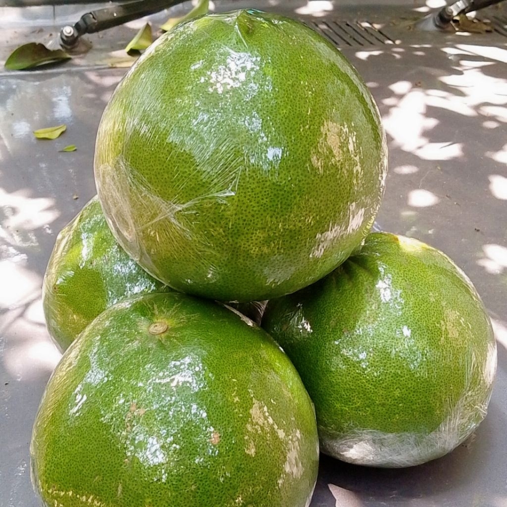 

Area Aceh #Jeruk Pamelo Matang Bireuen 750 gr ~ 1.200 gr