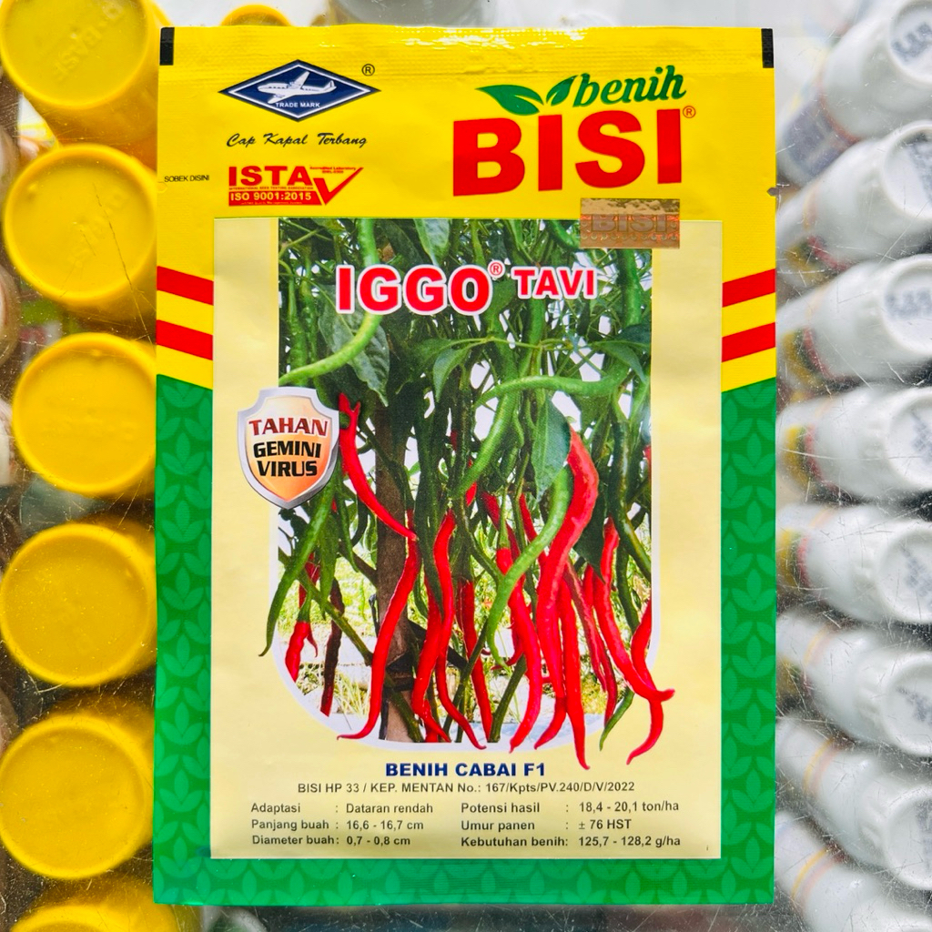 Benih Cabe Keriting Iggo Tavi 10gram Cap Kapal Terbang Bisi