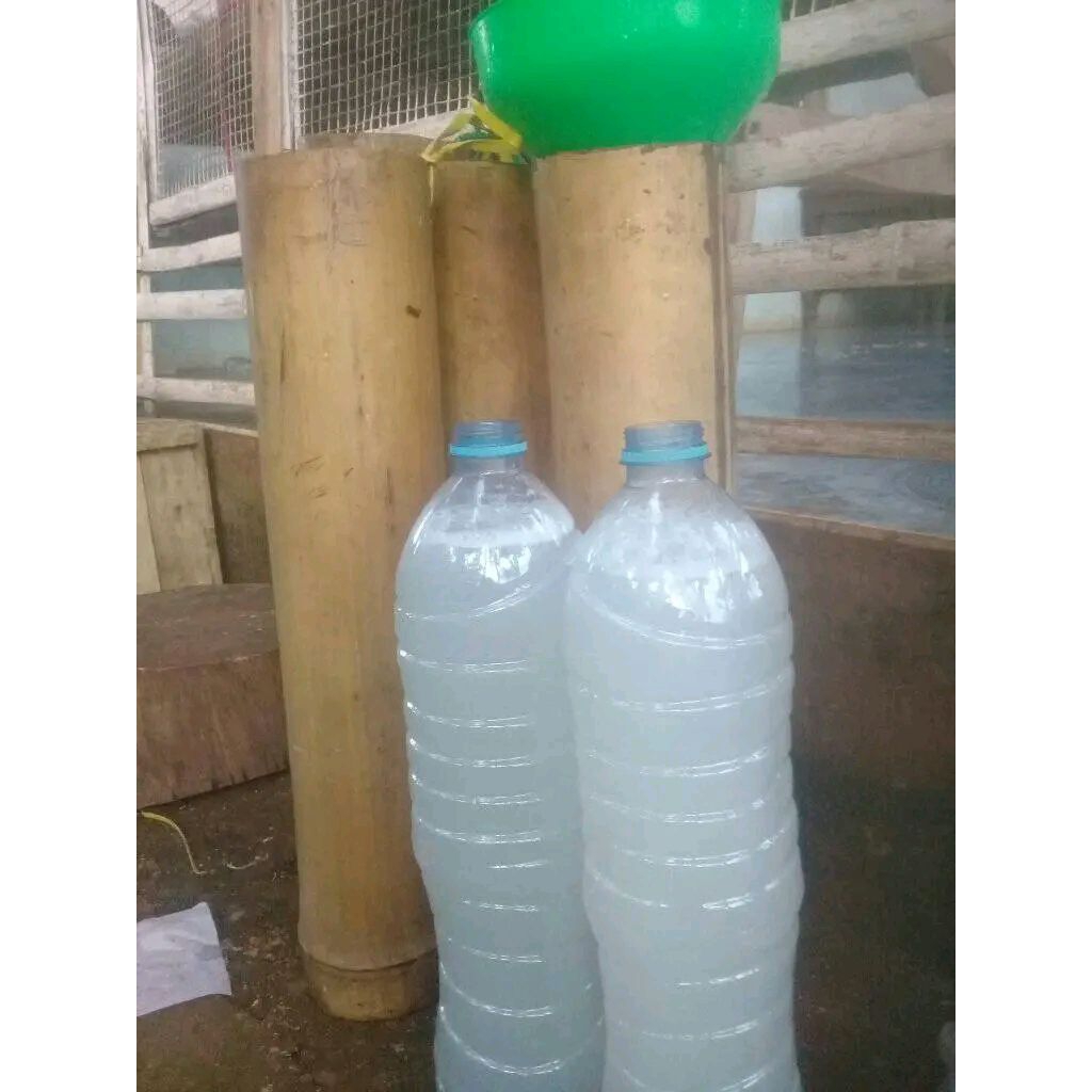 

Paket minuman Air Legen Khas Tuban Dua Botol(3 liter) Bonus Trasi Udang Khas Tuban (Aman Kirim Kemana Saja, Dilapisi Plastik Fearst Anti Meletus)