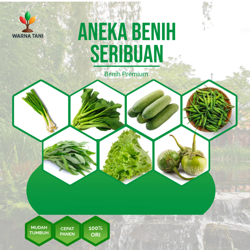 Aneka Benih Sayuran Rumahan