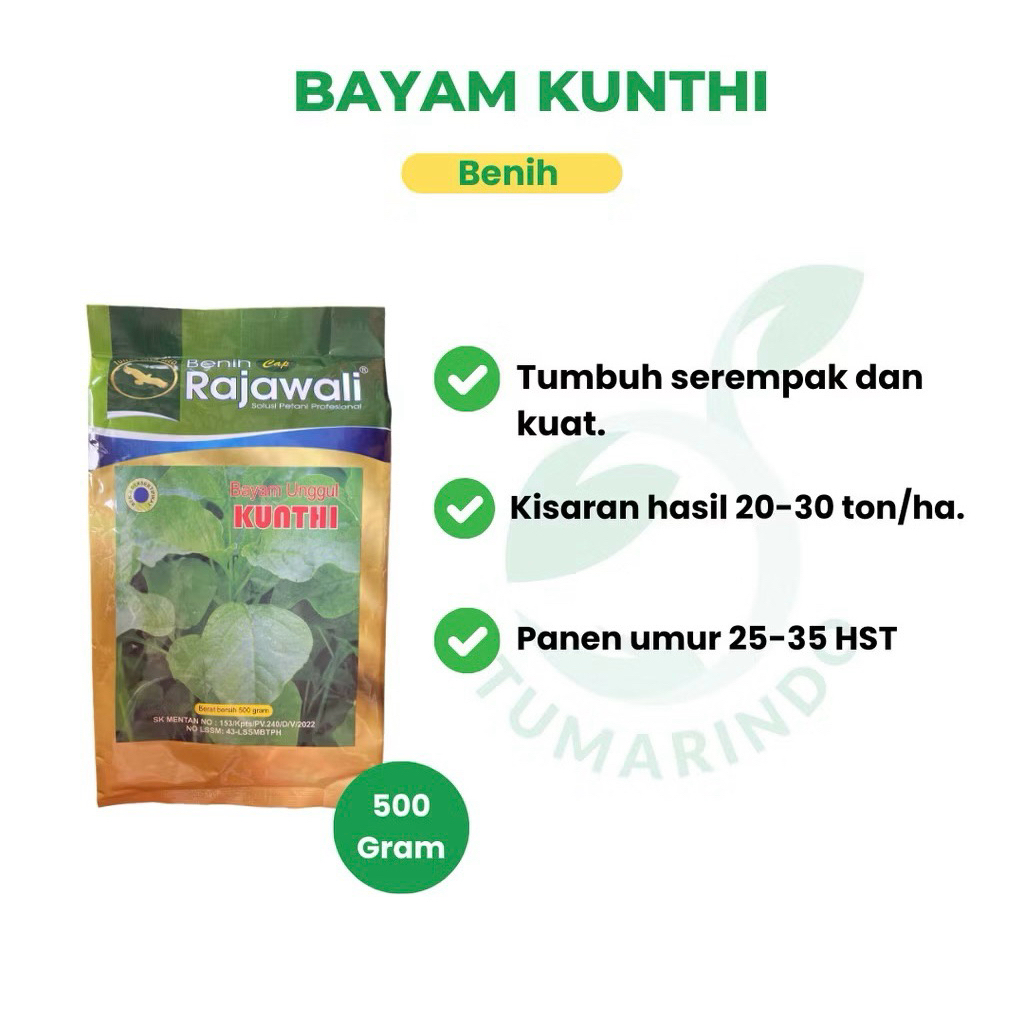 Benih Bayam Kunthi dari cap Rajawali