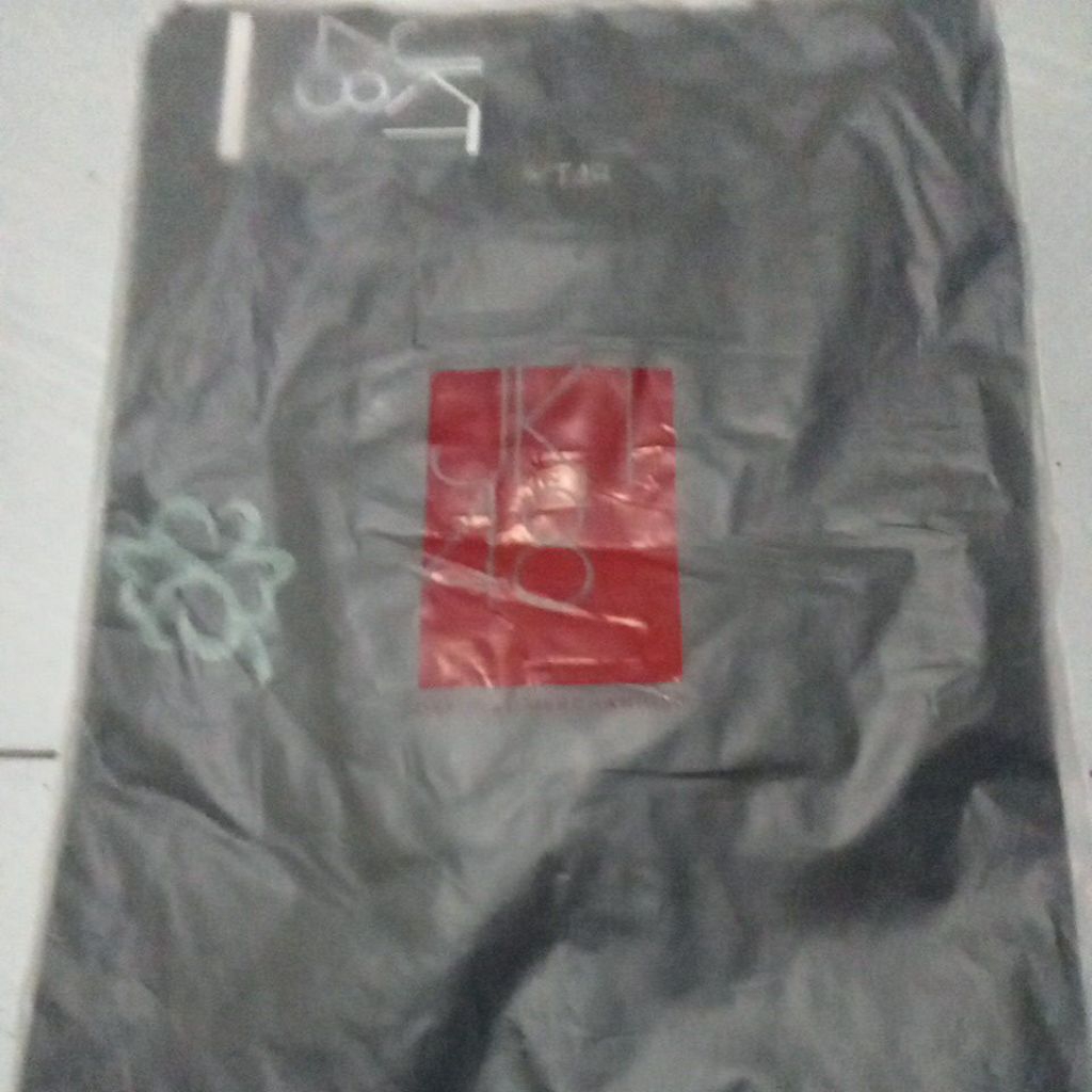 BDTS FIONY JKT48 2025