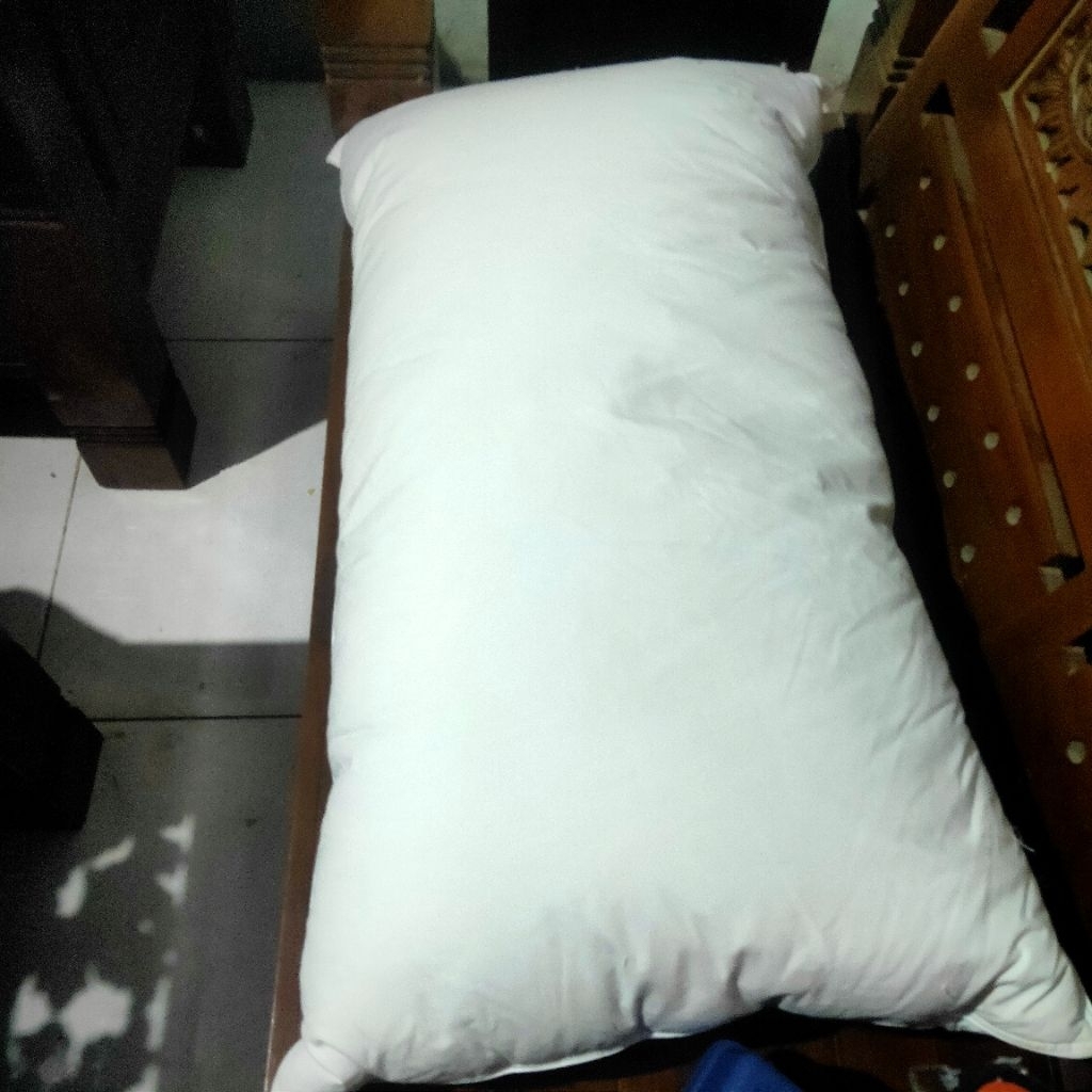 bantal bulu angsa asli