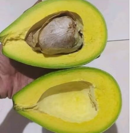 

Alpukat mentega jumbo 1kg isi 3-4 Garansi