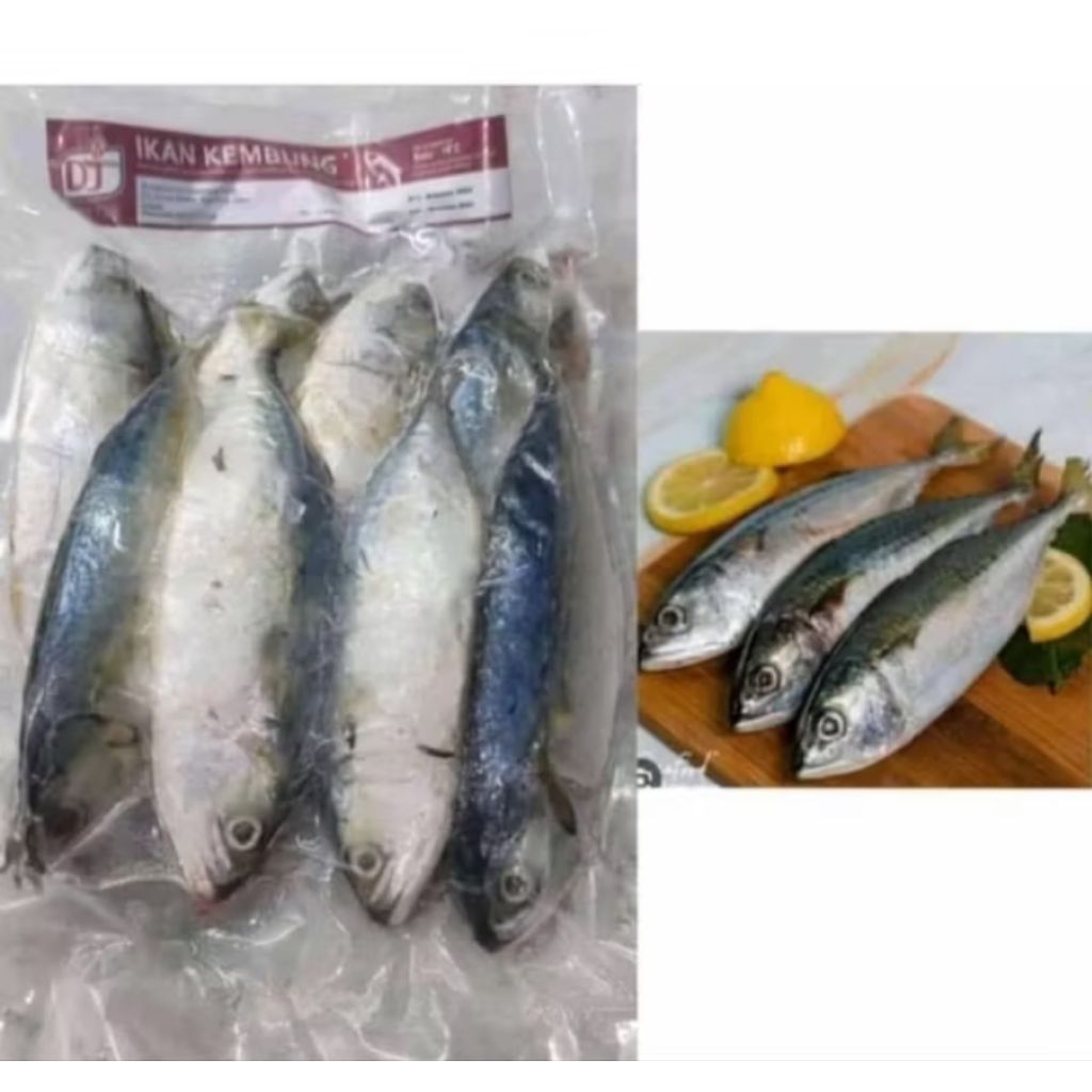 

Ikan kembung frozen premium 1kg