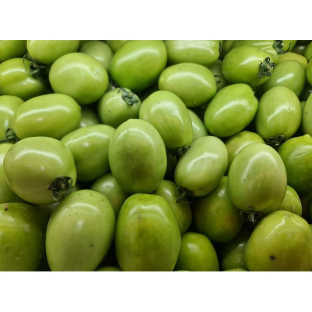 

tomat ijo / tomat sayur 250gr