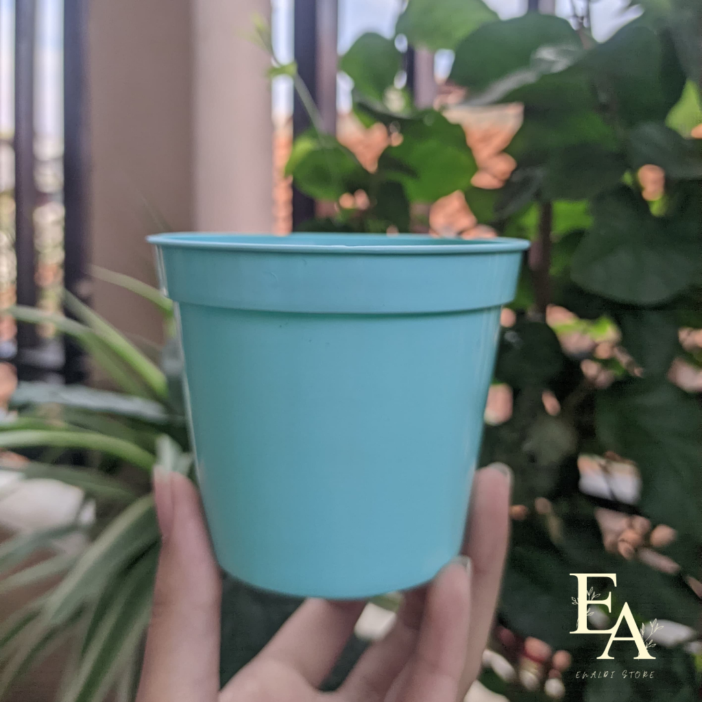 Pot Tanaman 8cm Warna Hijau Tosca