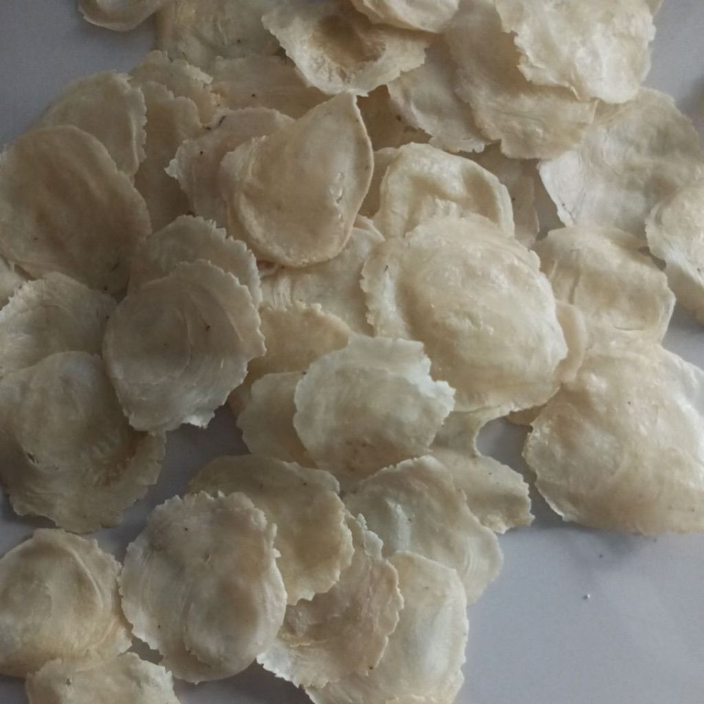 

EMPING MELINJO 1/2 kg MENTAH KWALITAS SUPER ASLI BANTEN