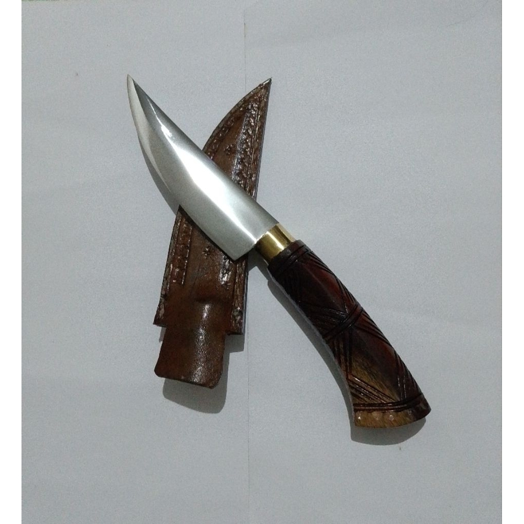 Sisit Pemotong Daging Pisau Dapur