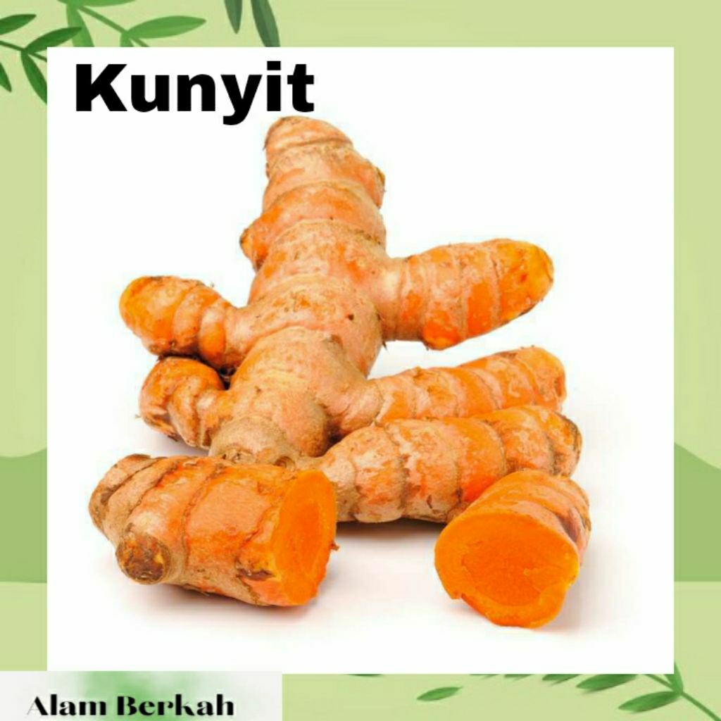 

Kunyit 1kg bumbu dapur