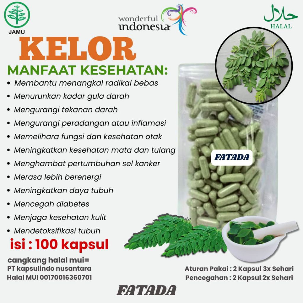 KAPSUL KELOR BUBUK ISI 100 CPSL