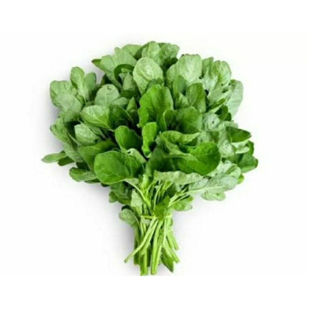 

Sayur Bayam Segar