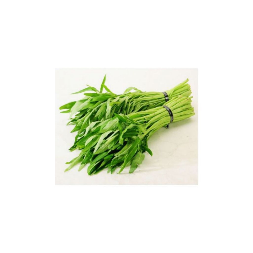 

TERMURAH SAYUR KANGKUNG SEGAR DAN BERSIH 1 IKAT LANGSUNG DARI PETANI