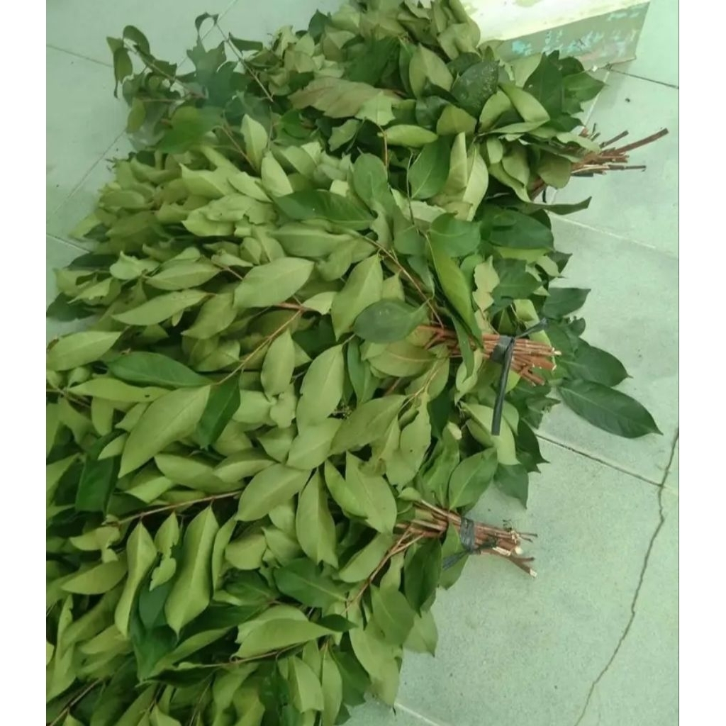 

daun salam untuk masak ( per 3 ikat)