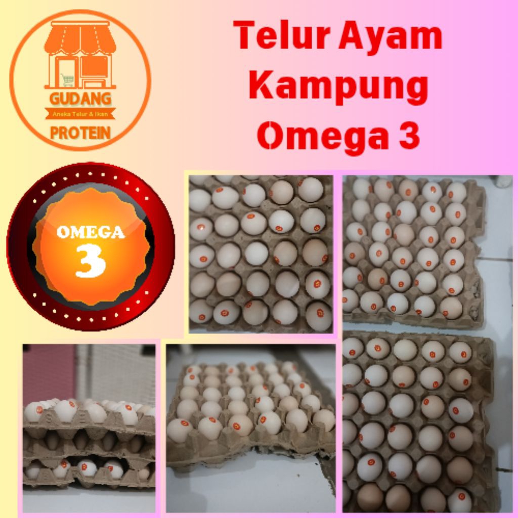 

TELUR AYAM KAMPUNG OMEGA 3 PILIHAN TERMURAH TERBAIK