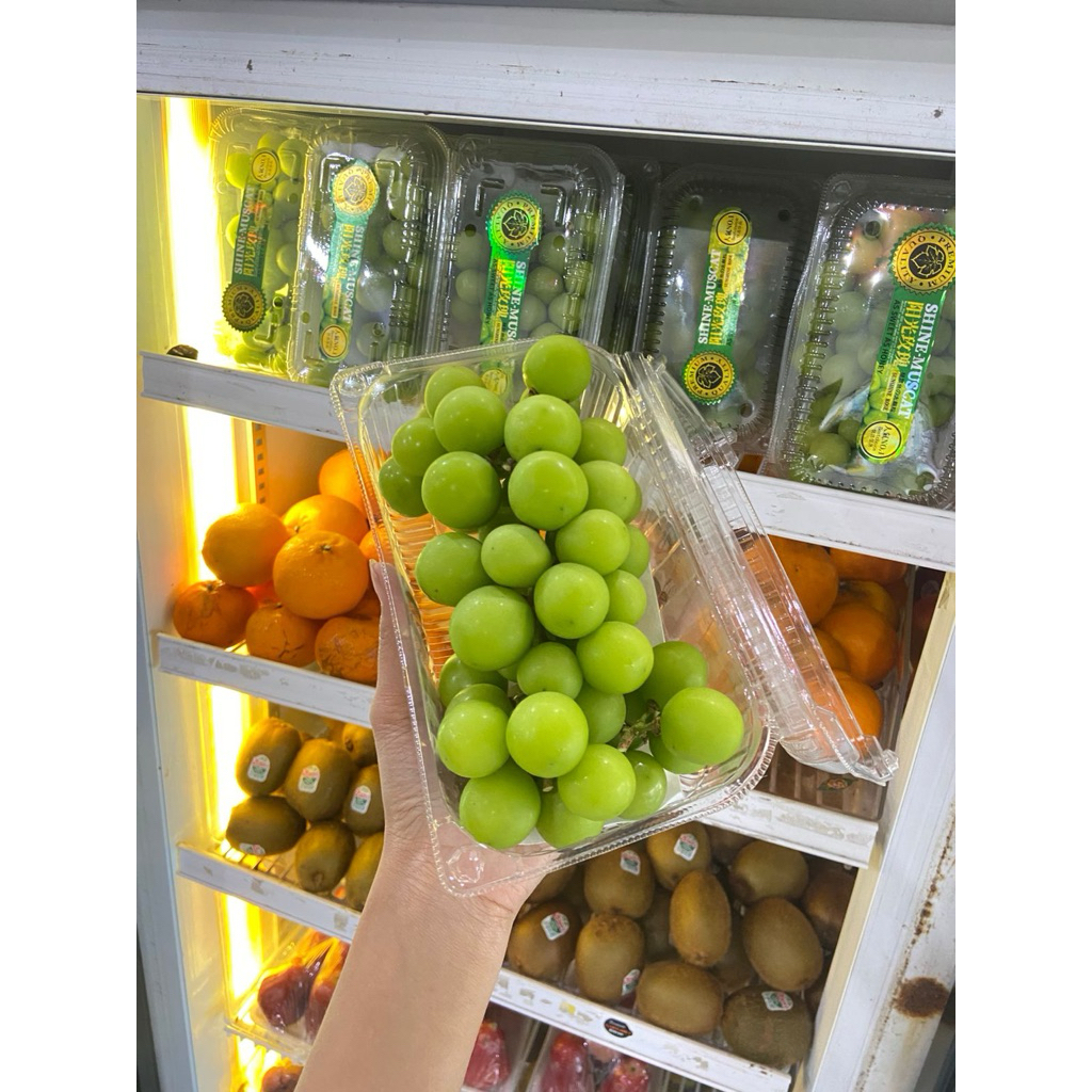 

buah anggur hijau per pack shine muscat import per pack