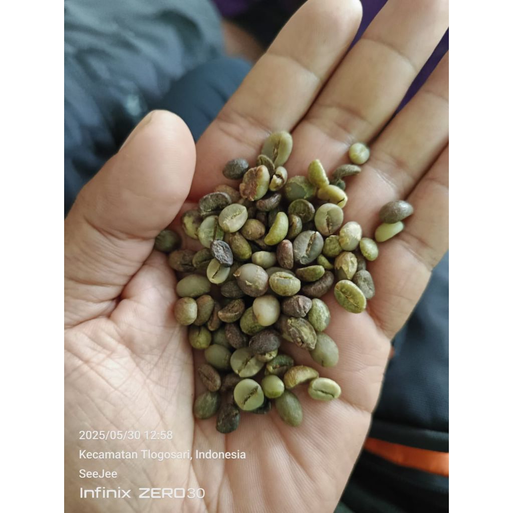 

Greenbean robusta asalan 500 gram
