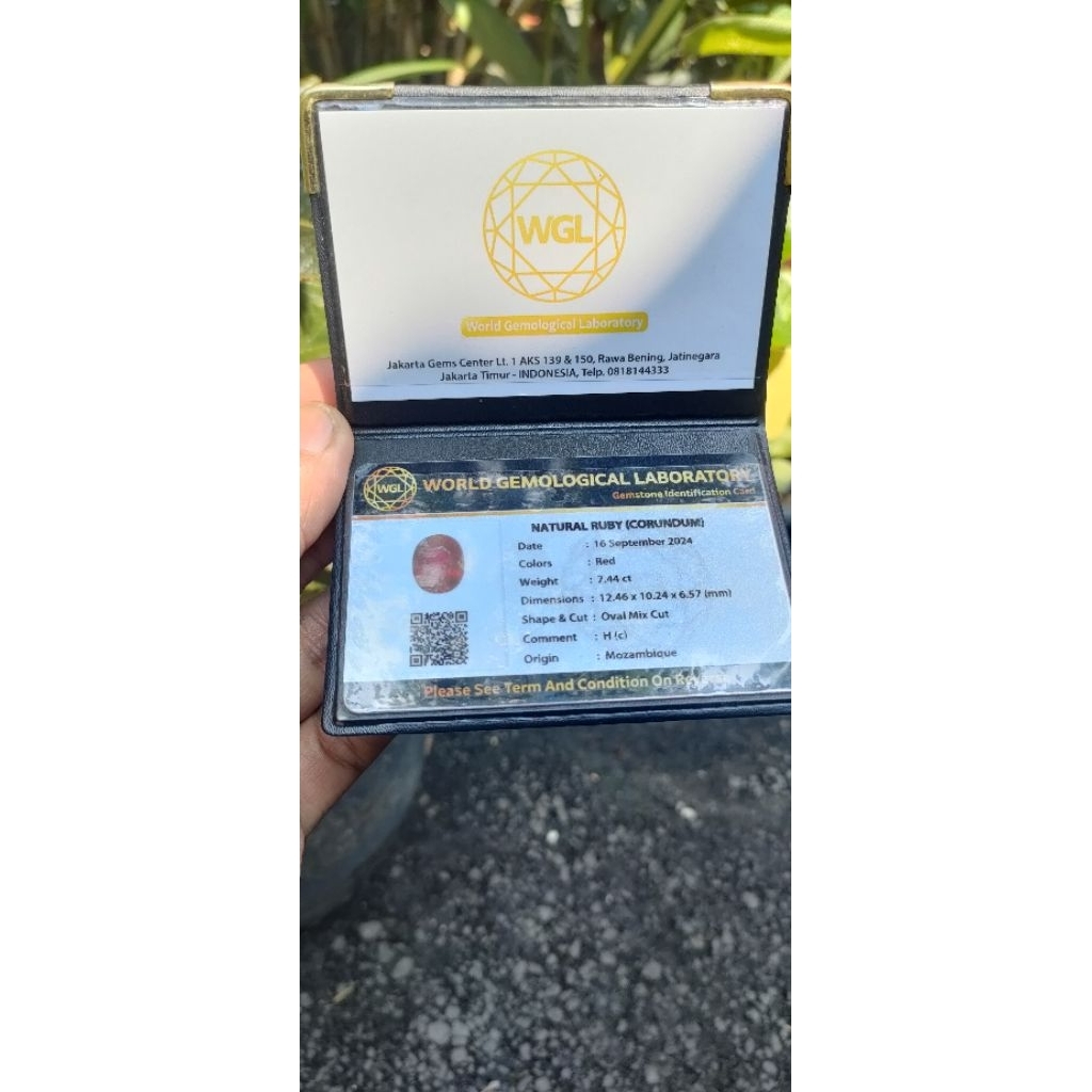 Ruby Pigeon Blood (Mozambique)