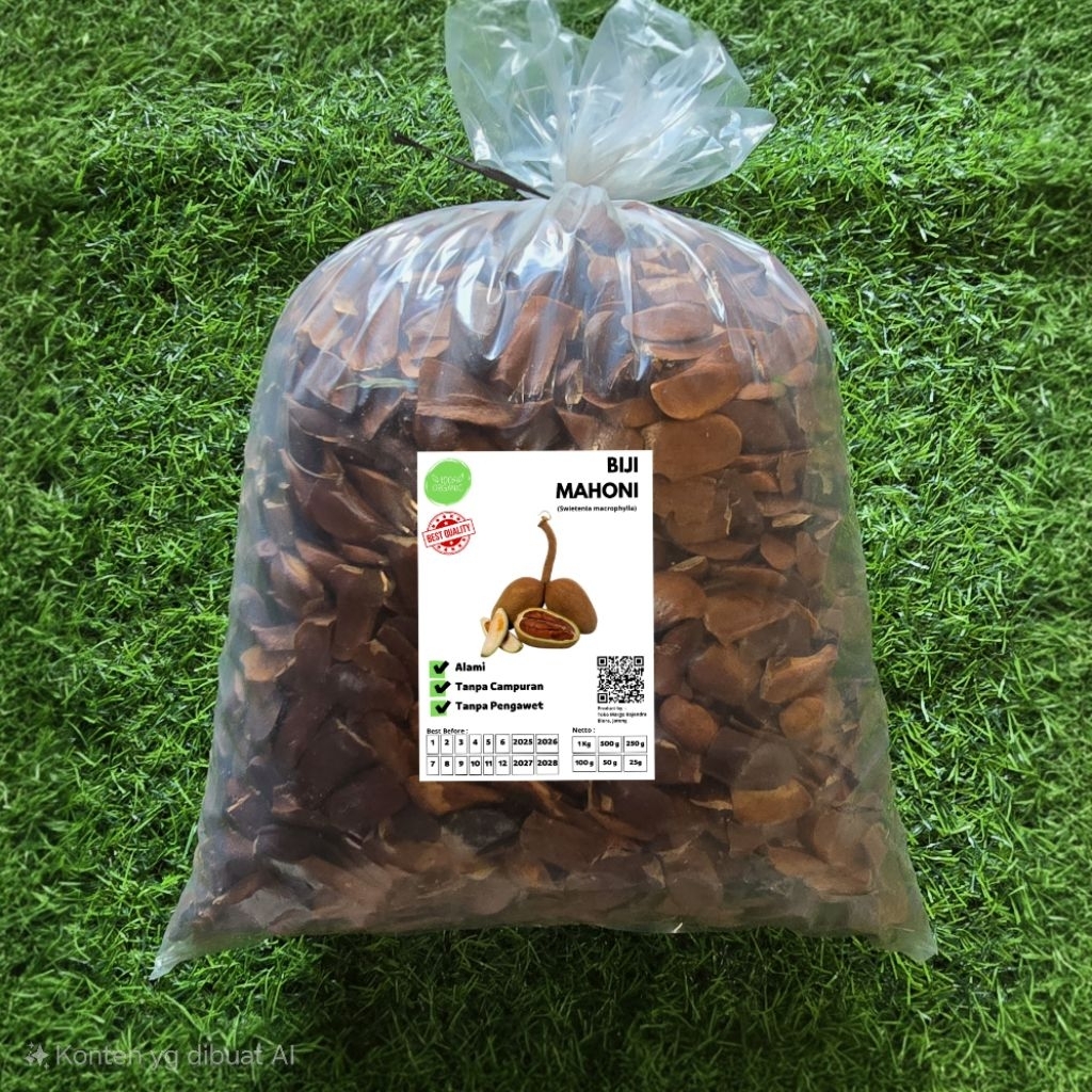 

Biji Mahoni 500 Gram Kering Tua Murni