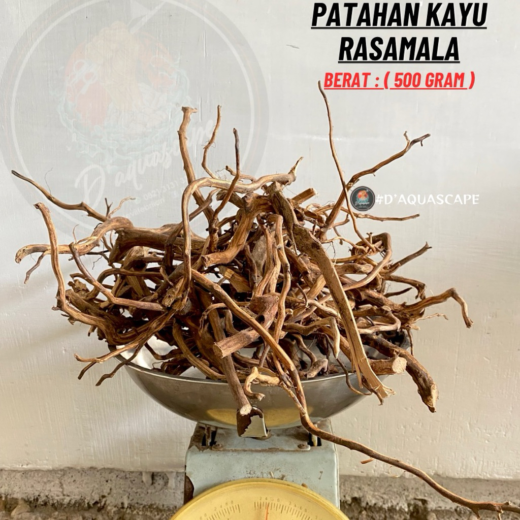 Patahan Rasamala/kayu rasamala