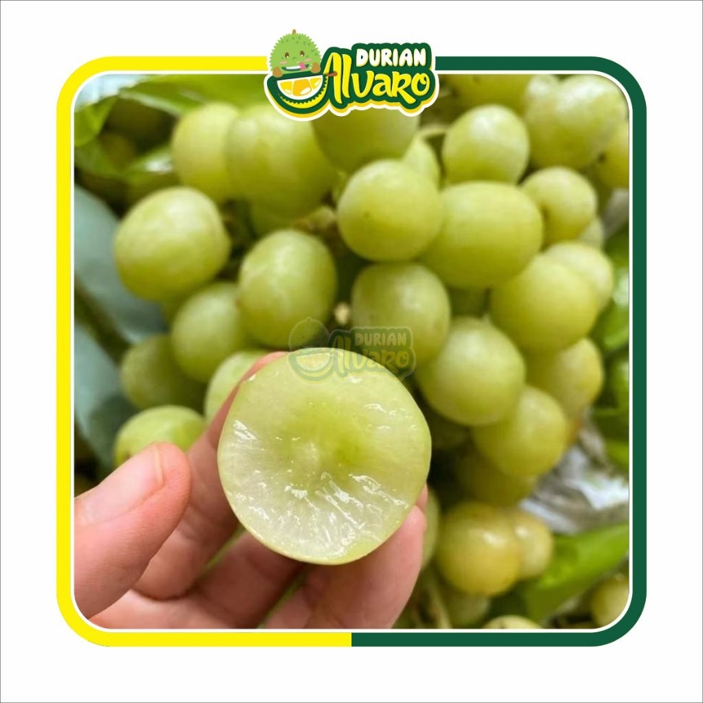 

Anggur Shine Muscat