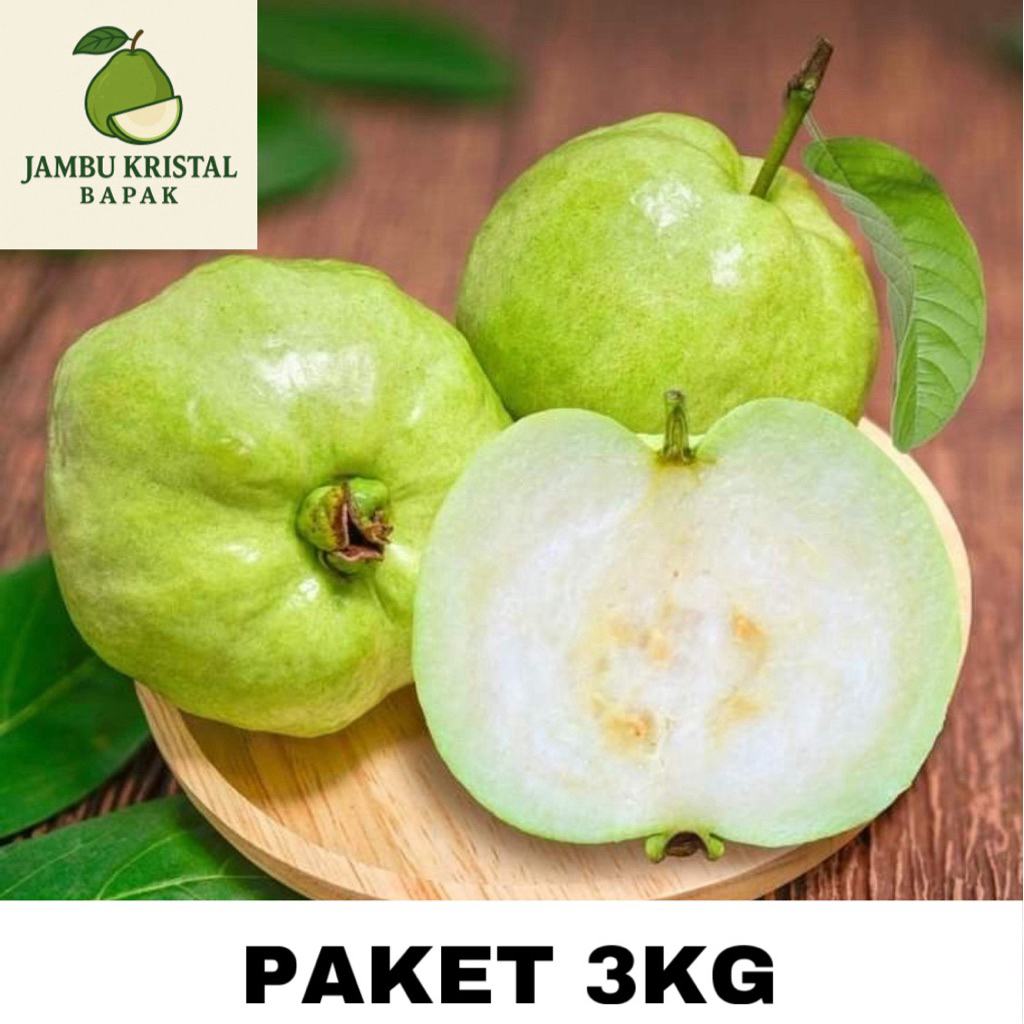 

Jambu kristal 3kg + Bonus Jambu Merah