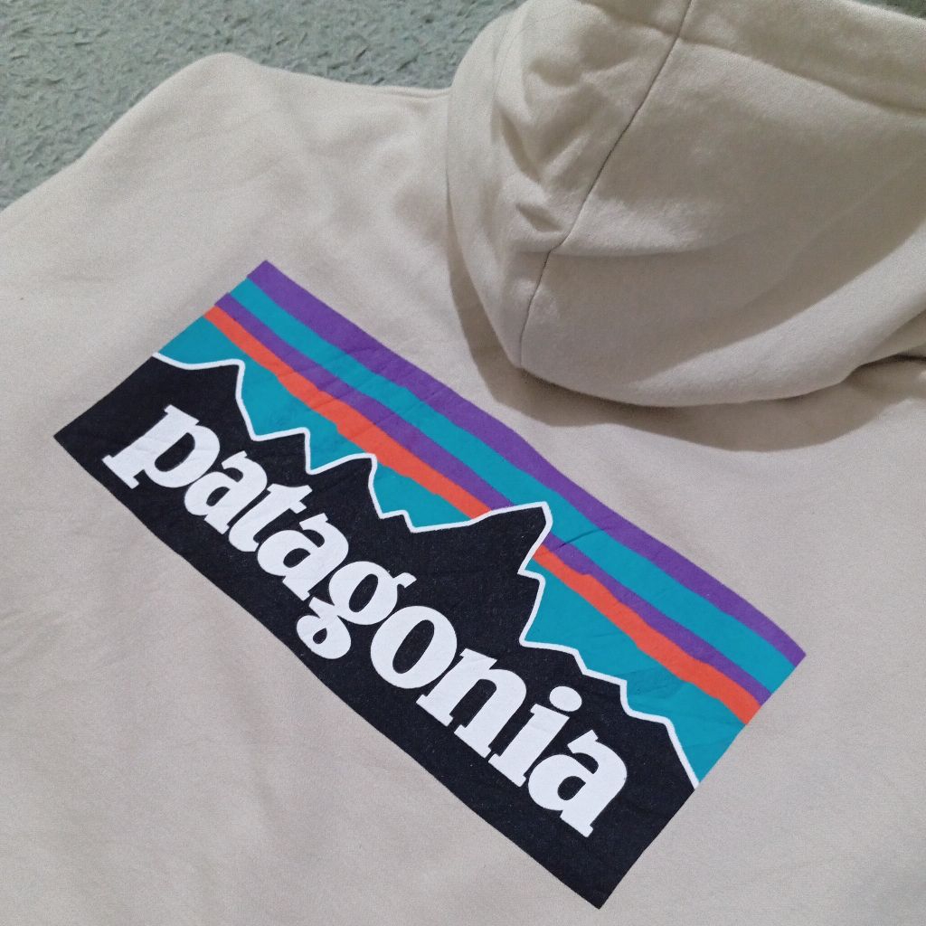 Hoodie Patagonia L